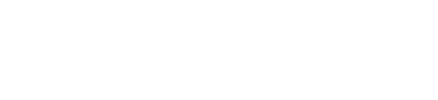 Salmeri Consulting